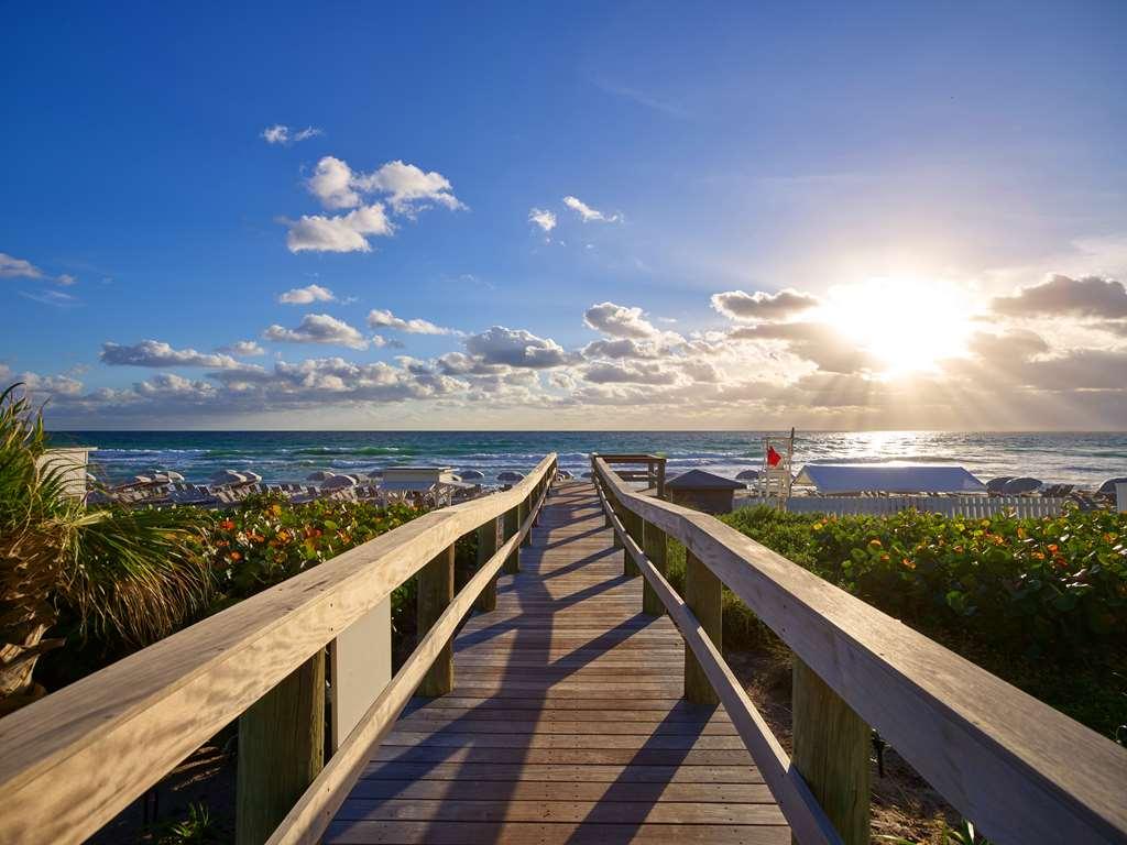 Отель Yacht Club At The Boca Raton Adults-Only Природа фото